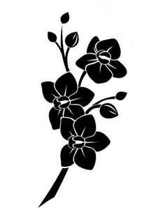 a black and white drawing of flowers on a white background