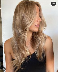 Rambut Brunette, Blonde Hair Transformations, Brown Hair Inspo, Honey Blonde Hair, Dark Blonde Hair