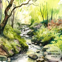 a watercolor painting of a stream in the woods