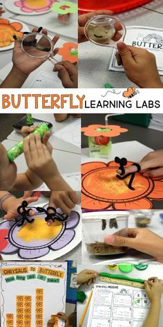 several pictures of different activities for children to do with the butterfly learning lab at home