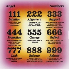 Angel Number 111, Now Quotes, Magia Das Ervas, Desain Editorial, Trust Your Gut, Vie Motivation, Spiritual Truth, Spiritual Guides, Angel Number