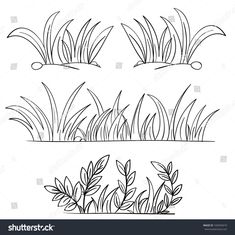 four different types of grass and plants in black and white, each with one line drawing