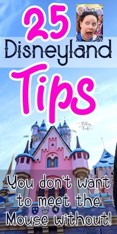 the disneyland castle with text overlay that reads 25 disneyland tips you don't want to meet the mouse without