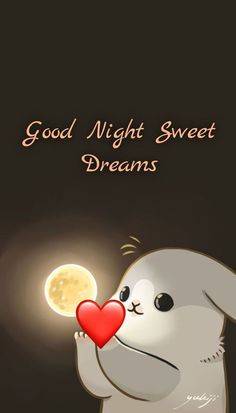 a rabbit holding a red heart in its paws with the words good night sweet dreams