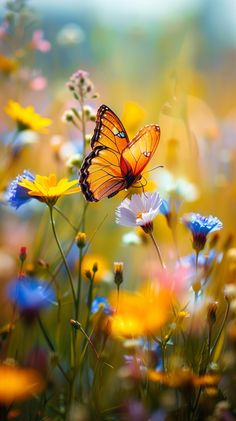 a butterfly flying over a field of flowers