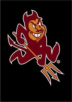 the logo of the university of south carolina football team, featuring an angry monkey holding a hockey stick