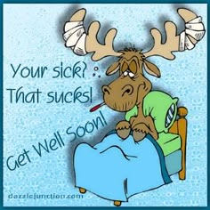 a moose sitting in bed with the caption your sick that sucks get well soon