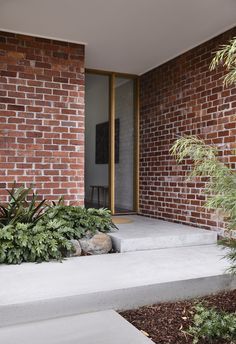 the front door is open and there are plants growing on the concrete steps to the outside