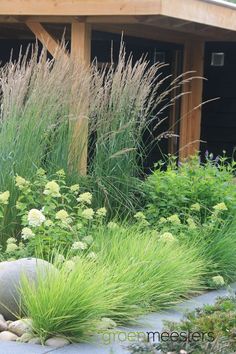 some plants and rocks in front of a building with a wooden structure on the side