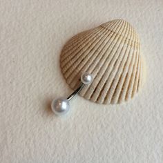 a single pearl is attached to a sea shell