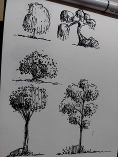 sketches of trees are shown on a piece of paper