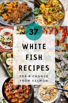 white fish dishes with text overlay that reads 37 white fish recipes for a change from salmon