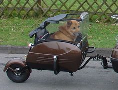 a dog is sitting in the sidecar of a moped that is parked on the street