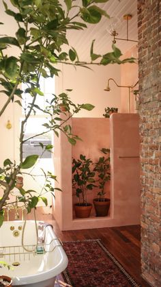 a bathroom with pink walls and plants in the bathtub, along with a rug on the floor