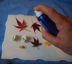 a person holding a spray bottle and some flowers on a sheet of paper with leaves