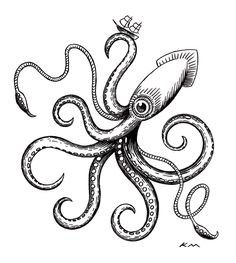 an octopus is drawn in black and white