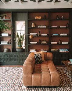 a living room filled with furniture and bookshelves next to a large potted plant