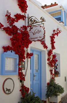 red flowers are growing on the side of a white building with blue doors and windows