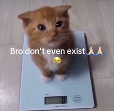 an orange cat sitting on top of a scale with the caption broo don't even existt