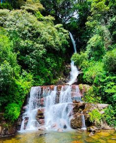 Dreaming of paradise? 🌴✨
Explore the breathtaking beauty of Sri Lanka and make 2025 your year of adventure! 🏞️🌊
📍 Where will your next journey take you? 💼
#VisitSriLanka #CleanSriLanka  #Travel2025 #SerendibAdventures #ExploreMore #Wanderlust
📸 Credit to the respective owner.