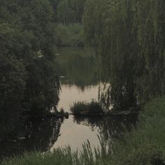 a body of water surrounded by trees and grass