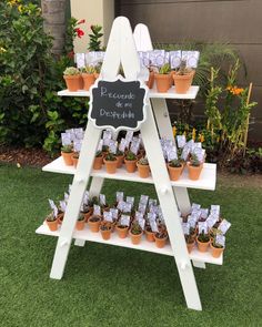 a white wooden stand with potted plants on it and a sign that says bereastoo de borbitta