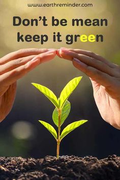 two hands holding a green plant with the words don't be mean keep it green