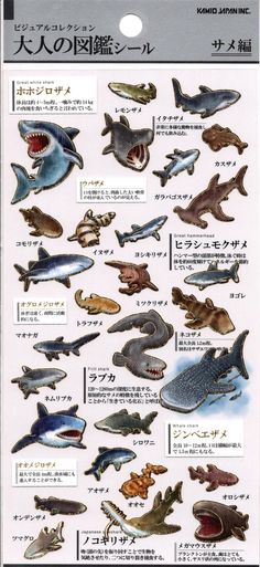 a poster with different types of sharks and other animals in japanese writing on the front