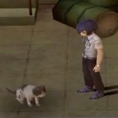 a cat walking next to a person on a sidewalk