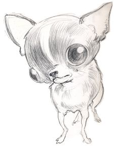 a drawing of a chihuahua with big eyes