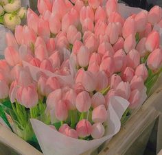 a bunch of pink tulips are in a box