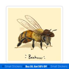 a bee with a hat on it's head and the words beeswa written below