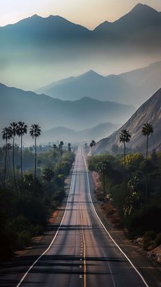 an empty road with mountains in the background and palm trees on both sides at sunset