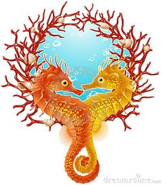 two seahorses in the water surrounded by coral