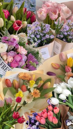 many different types of flowers are on display