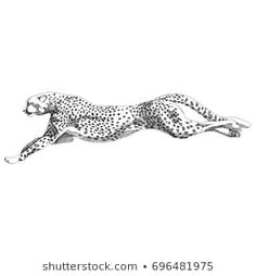 a drawing of a cheetah running in the air