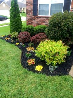 the front yard is full of flowers and shrubs