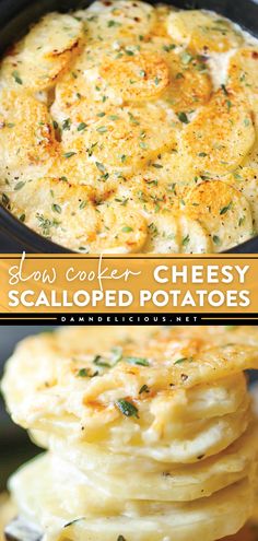 The perfect Thanksgiving side dish idea! Your Thanksgiving dinner menu must have this crockpot potato recipe. Not only are these slow cooker scalloped potatoes easy, but they are also creamy, cheesy, and delicious! Potato Recipes Crockpot, Slow Cooker Scalloped Potatoes, Cheesy Scalloped Potatoes Recipe, Meals Crockpot, Cheesy Scalloped Potatoes, Scalloped Potatoes Recipe, Scalloped Potatoes Cheesy, Scalloped Potato Recipes