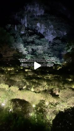 an aerial view of the forest at night with text overlaying it that reads,'what do you see? '