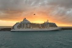 a cruise ship in the ocean at sunset with a bird flying over it's head