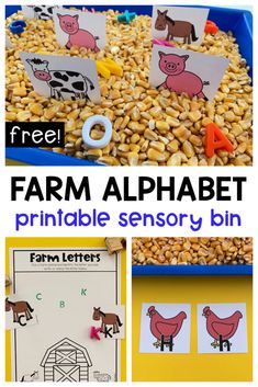 farm alphabet printables for kids to practice letter recognition and matching with their own farm animals