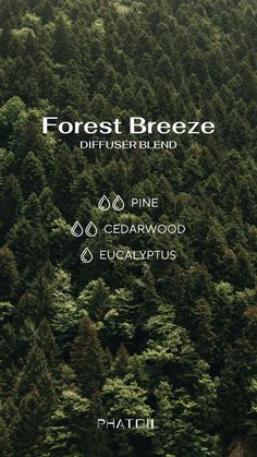 Today, we celebrate the lungs of our planet, the forests that give us life, and inspire our senses.Just as forests purify the air we breathe, our essential oils can purify the air in your homes. 🏡💚 Forest Breeze Blend with notes of pine, cedar and eucalyptus is like a walk through the woods in your living room. 🌲🍃#InternationalDayofForests Bamboo Essential Oil Blend, Forest Essential Oil Blend, Vetiver Essential Oil Blends, Pine Diffuser Blend, Woodsy Diffuser Blends, Forest Diffuser Blends, Manly Essential Oil Blends, Eucalyptus Diffuser Blends