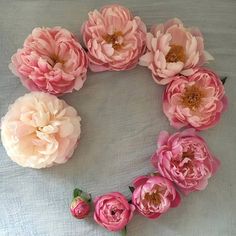 pink flowers arranged in the shape of a circle