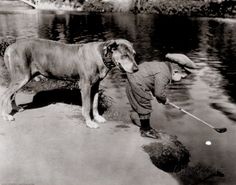 an old black and white photo of a dog playing with a boy in the water