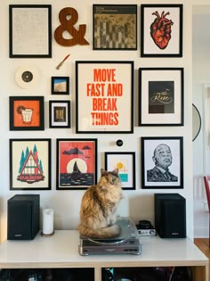 a cat sitting on top of a table in front of many framed pictures and posters