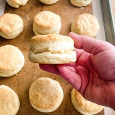 a hand holding up a biscuit in front of some biscuits on a baking sheet