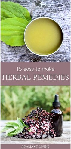 Herb Remedies, Medicinal Herbs Remedies, Medicine Recipes, Tinctures Recipes, Herbal Medicine Recipes, Diy Herbal Remedies, Herbal Remedies Recipes, Medicinal Herbs Garden, Salve Recipes