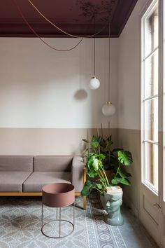 a living room filled with furniture and a potted plant