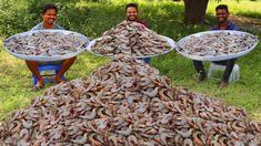 three men sitting in the grass with buckets full of shrimp on their heads and one man standing behind them