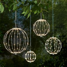 three lights hanging from the branches of a tree in front of some bushes and trees